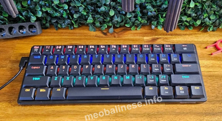 The Ultimate Guide to Choosing the Best Budget Mechanical Keyboard in 2024