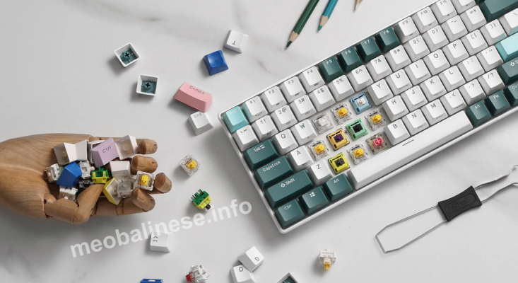 The Ultimate Guide to Hot-Swappable Mechanical Keyboards: Flexibility and Customization for Every Typist