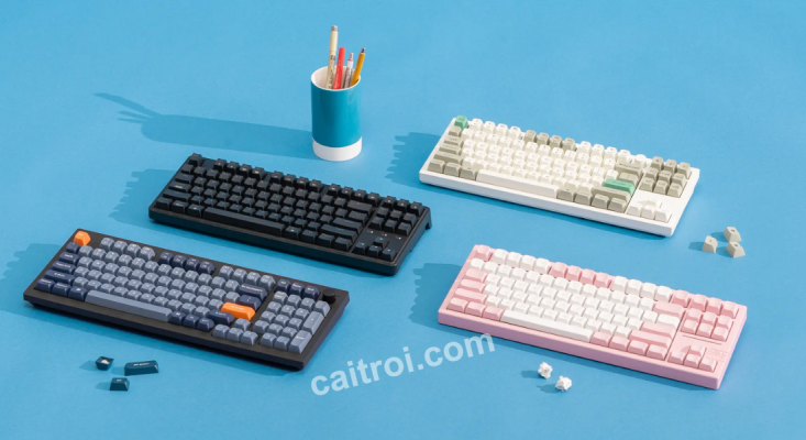 Comprehensive Mechanical Keyboard Reviews: Unveiling the Best Options for 2024